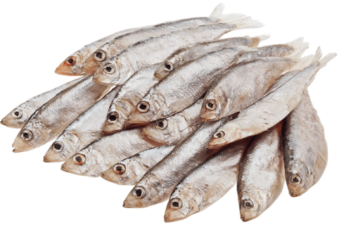 Чорноморська свіжість у кожному шматочку!