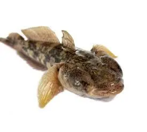 Бычок черноморский отборный, бычки ("кнут", +-15шт шт/кг)