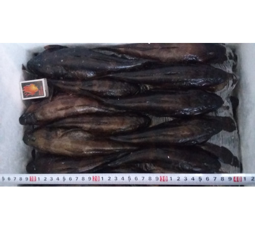 Бычок черноморский отборный, бычки ("кнут", +-15шт шт/кг)