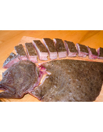 Камбала-калкан чорноморська, 3-4 кг/шт, ціна за 1кг