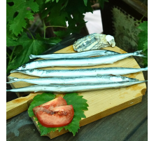 Сарган черноморский средний, 30-35см