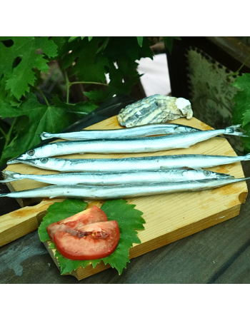 Сарган черноморский средний, 30-35см