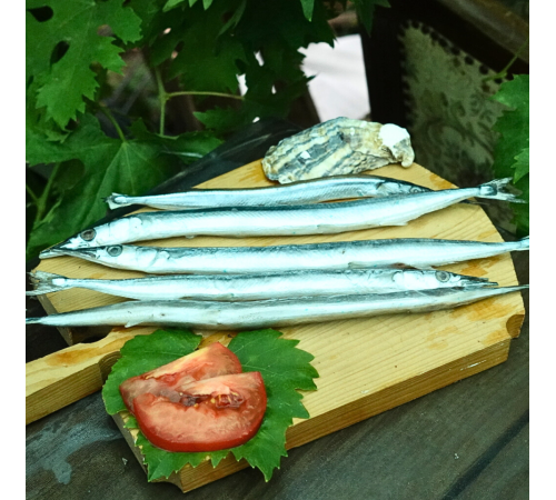 Сарган черноморский средний, 30-35см