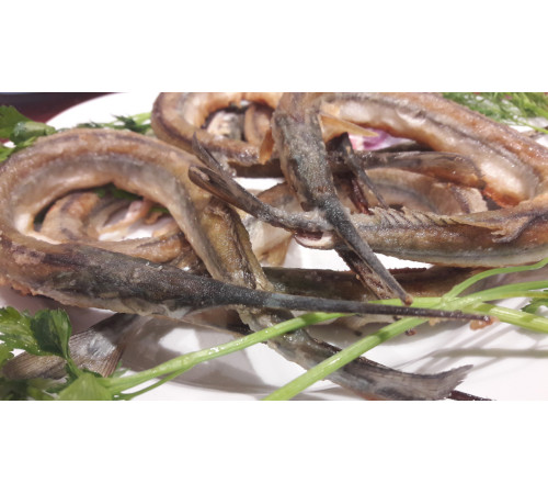 Сарган черноморский средний, 30-35см