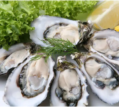 Устриці скіфські українські, №3 (мінім замовл від 24 штук)