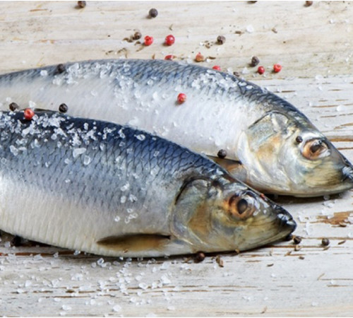 Дунайка свежемороженная, +-4 шт на кг, дунайская селедка из Вилково