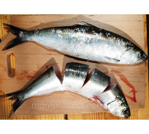 Дунайка свежемороженная, +-4 шт на кг, дунайская селедка из Вилково