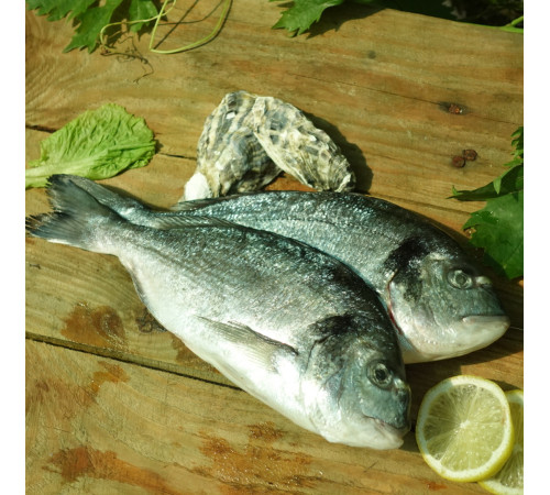 Дорадо 400/600, с/м, непатрана з/г