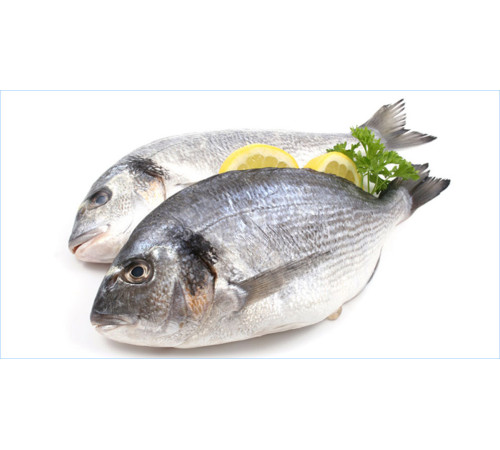 Дорадо 400/600, с/м, непатрана з/г