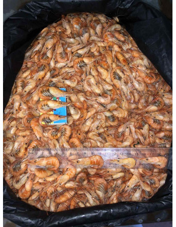 Креветки чорноморські оптом 2-3 см (упаковка 6кг)