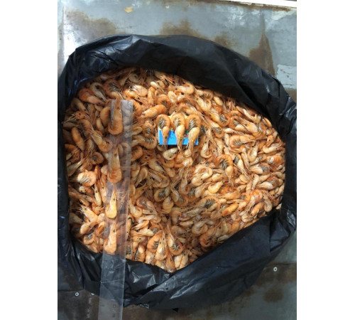 Креветки черноморские оптом 2-3 см (упаковка 6кг)