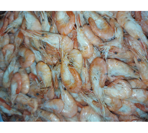 Креветки черноморские оптом 2-3 см (упаковка 6кг)