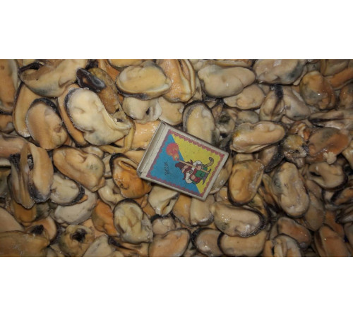 М'ясо мідій велике 100/200 Чилі, відмінна якість