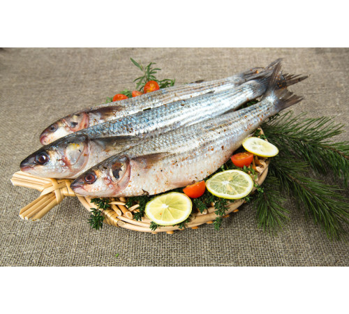 Чорноморська Кефаль добірна, свіжеморожена, 200-300гр/шт (3-5шт\кг)