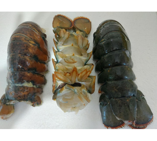 Хвости карибського лобстера (Омара, лангуста), 400-450 грам/шт, свіжоморожені (1кг)