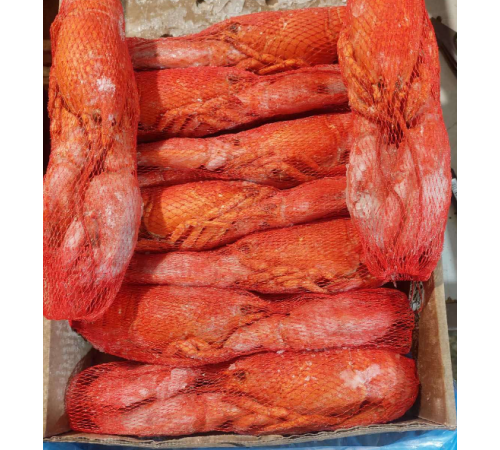 Лобстер (омар) вареноморожений, 400 - 1300 грам/шт (ціна за 1кг)