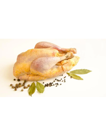 М'ясо цесарки свіжоморожене, (вакуумна упаковка) вага +-1.5 кг, Vip якість