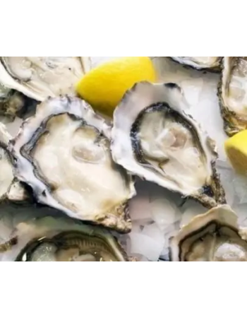 Устриці Св Патрік №2 (мінім замовлення від 24 штук)