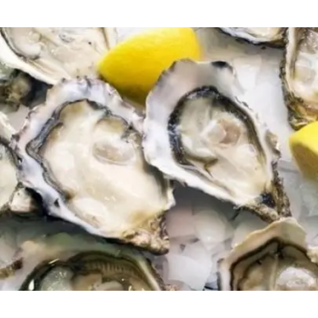 Устрицы Святой Патрик размер №1 (миним заказ от 24 штук)