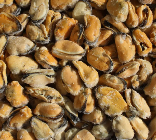 М'ясо мідій чорноморських