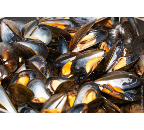 М'ясо мідій чорноморських