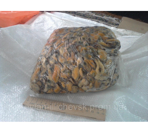 М'ясо мідій чорноморських