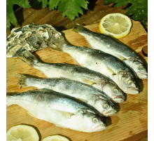 Луфарь черноморский, с/м, +-10 шт/кг