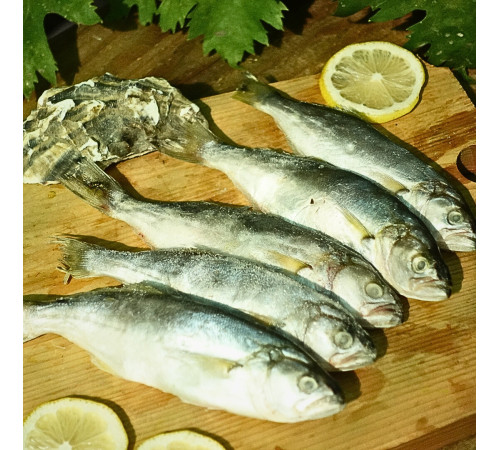 Луфарь чорноморський великий, с/м, +-10 шт/кг