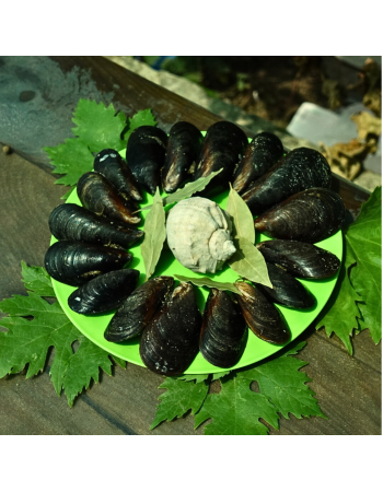 Мідії в панцирі охолоджені чорноморські оптом мікс 5-7см