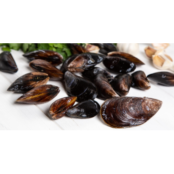Мидии в ракушках охлажденные черноморские 5-7см