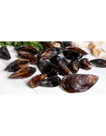 Мідії в мушлях охолоджені чорноморські 5-7см