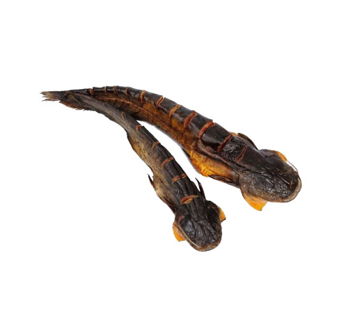 Сом холодного копчения, речной, целая тушка с головой, 0,650кг - 2кг/шт навеска, цена за 1кг