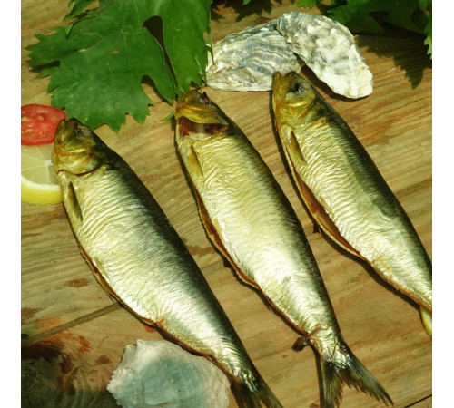 Селедка дунайская холодного копчения