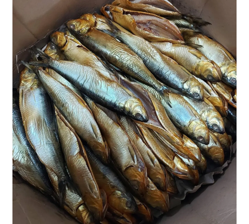 Селедка дунайская холодного копчения