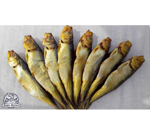 Селедка дунайская холодного копчения