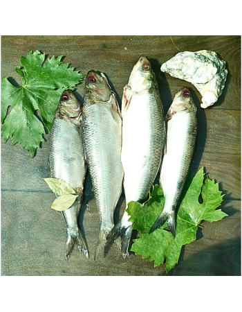 Дунайський оселедець малосольний, дунайка з Вилкове, ціла +-4 шт на 1кг (непатраний)