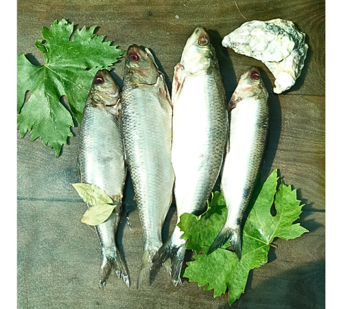 Дунайський оселедець малосольний, дунайка з Вилкове, ціла +-4 шт на 1кг (непатраний)