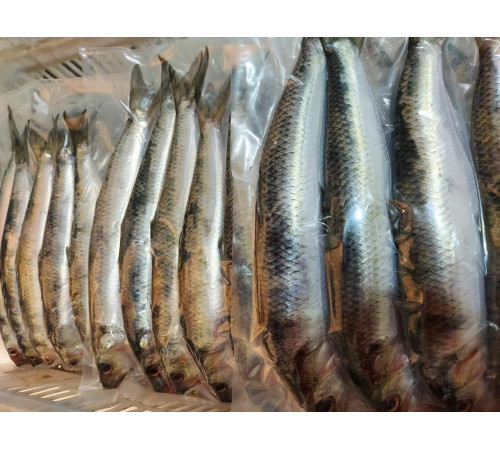 Дунайський оселедець малосольний, дунайка з Вилкове, ціла +-4 шт на 1кг (непатраний)