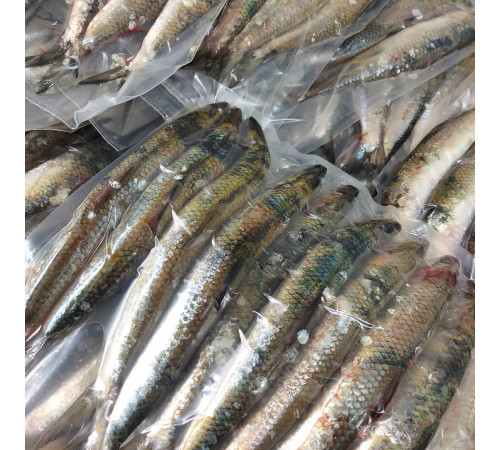 Дунайський оселедець малосольний, дунайка з Вилкове, ціла +-4 шт на 1кг (непатраний)