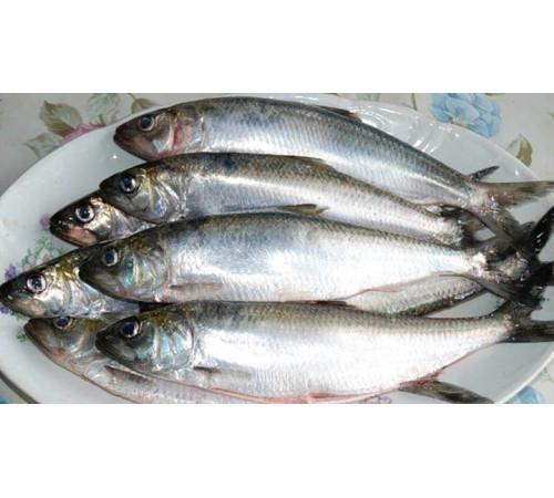 Дунайський оселедець малосольний, дунайка з Вилкове, ціла +-4 шт на 1кг (непатраний)