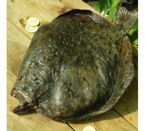 Камбала плейс американська, з головою, 400+ грам/шт (ціна за 1кг)