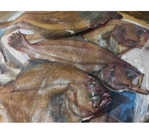 Камбала плейс американська, з головою, 400+ грам/шт (ціна за 1кг)