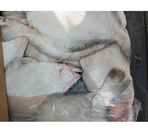 Камбала плейс американська, з головою, 400+ грам/шт (ціна за 1кг)