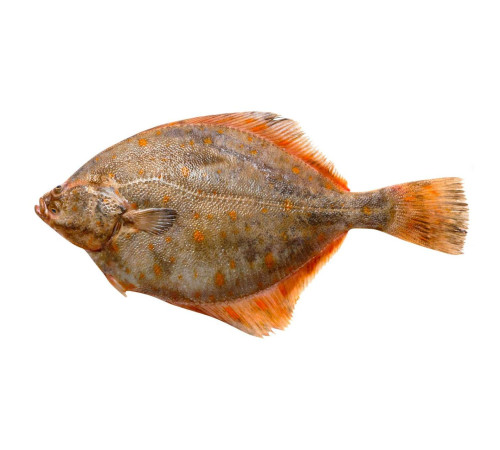 Камбала плейс американська, з головою, 400+ грам/шт (ціна за 1кг)