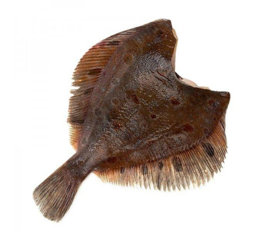 Камбала плейс американська, з головою, 400+ грам/шт (ціна за 1кг)