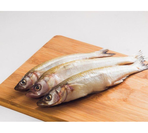 Корюшка новозеландская св/морож, размер 25см+