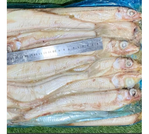 Корюшка новозеландская св/морож, размер 25см+