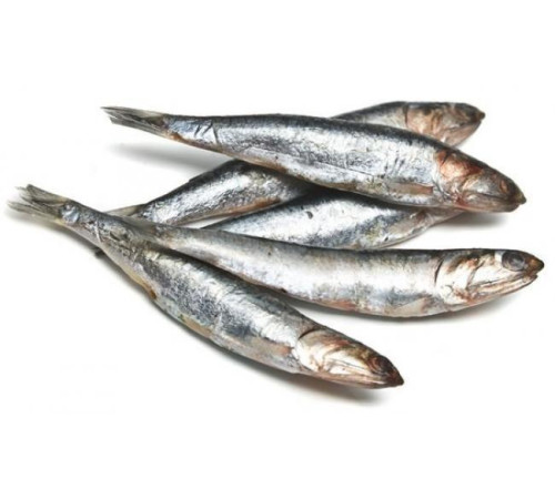 Ферина чорноморська роздріб 1кг вакуум (атерина чорноморська), з/м, розмір 6-8см