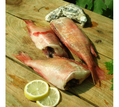 Морской окунь с/м без головы 500+ грамм