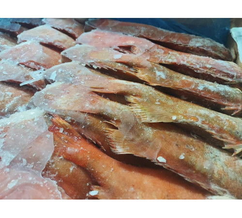 Морской окунь с/м без головы 500+ грамм